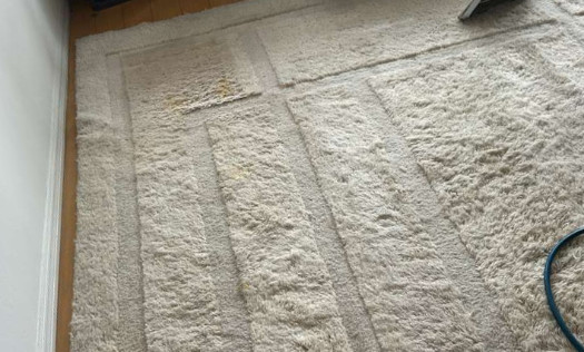 Old Weave Rug Care3